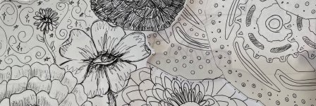 thumbnail_IMG_5490